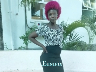 Eunifix