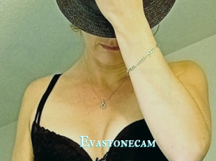 Evastonecam