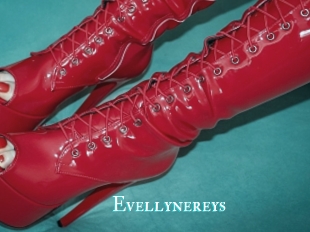 Evellynereys