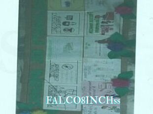 FALCO8INCHss