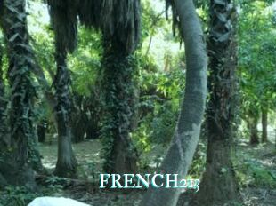 FRENCH213