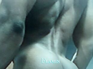 Flamin