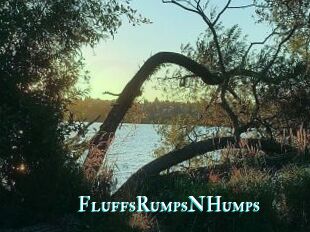 FluffsRumpsNHumps