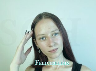 Felicebeldin