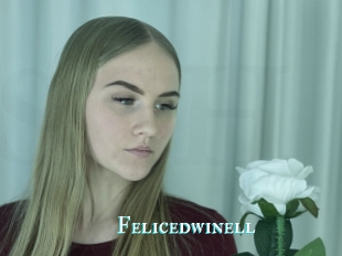 Felicedwinell