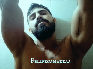 Felipegamarraa