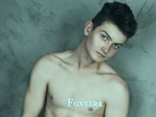 Foxterr