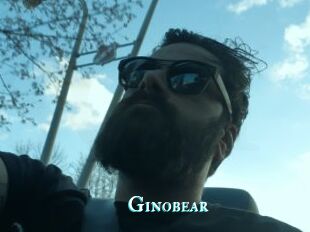 Ginobear
