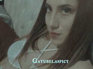 Gatubelaspicy