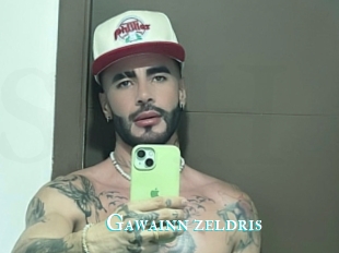 Gawainn_zeldris