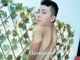 Georgesmitt
