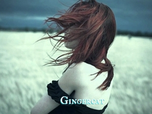Gingercat