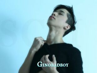 Ginobadboy