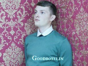 Goodboyelin