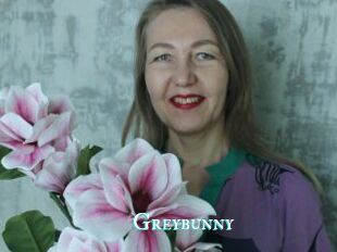 Greybunny