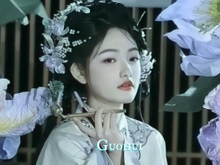 Guohui
