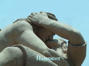 Hairyscot