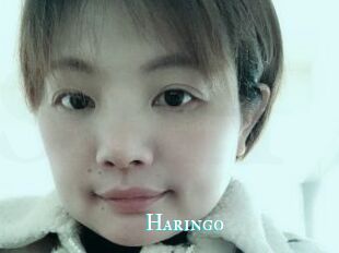 Haringo