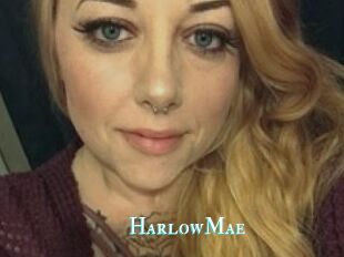 Harlow_Mae
