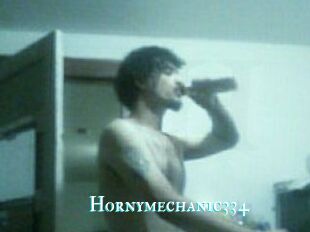 Hornymechanic334