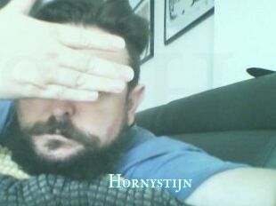 Hornystijn