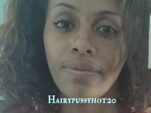 Hairypussyhot20