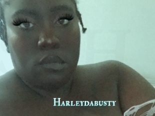 Harleydabusty