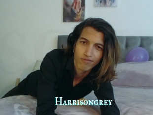 Harrisongrey