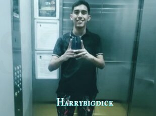 Harrybigdick