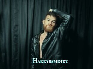 Harrybsmdirt