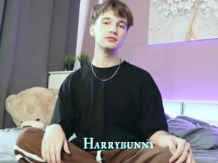 Harrybunny