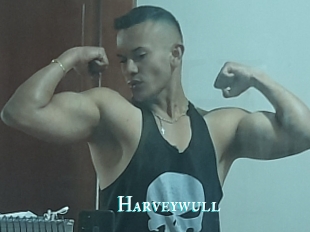 Harveywull