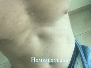 Homealone222