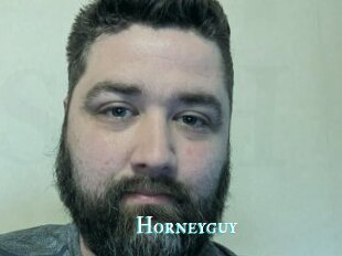 Horneyguy