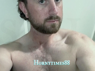 Hornytimes88