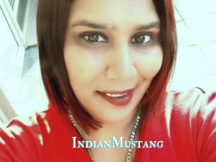 IndianMustang