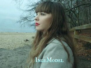 IngeModel