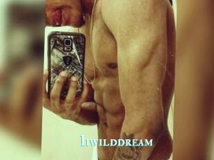 Iiwilddream