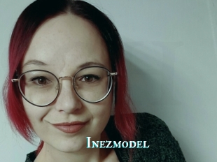 Inezmodel