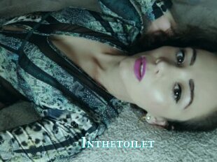 Inthetoilet