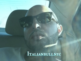 Italianbullnyc
