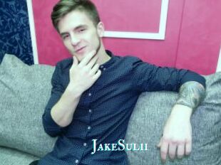 JakeSulii