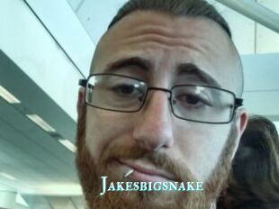 Jakesbigsnake
