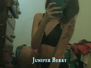 Juniper_Berry