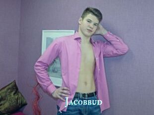 Jacobbud