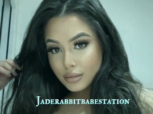 Jaderabbitbabestation