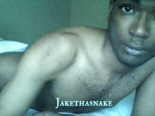 Jake_tha_snake