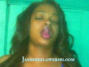 Jasmineflowersbloom