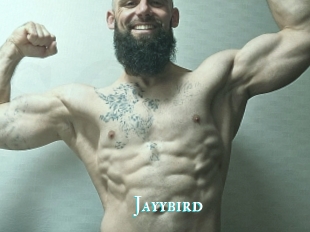 Jayybird