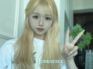 Junkocece